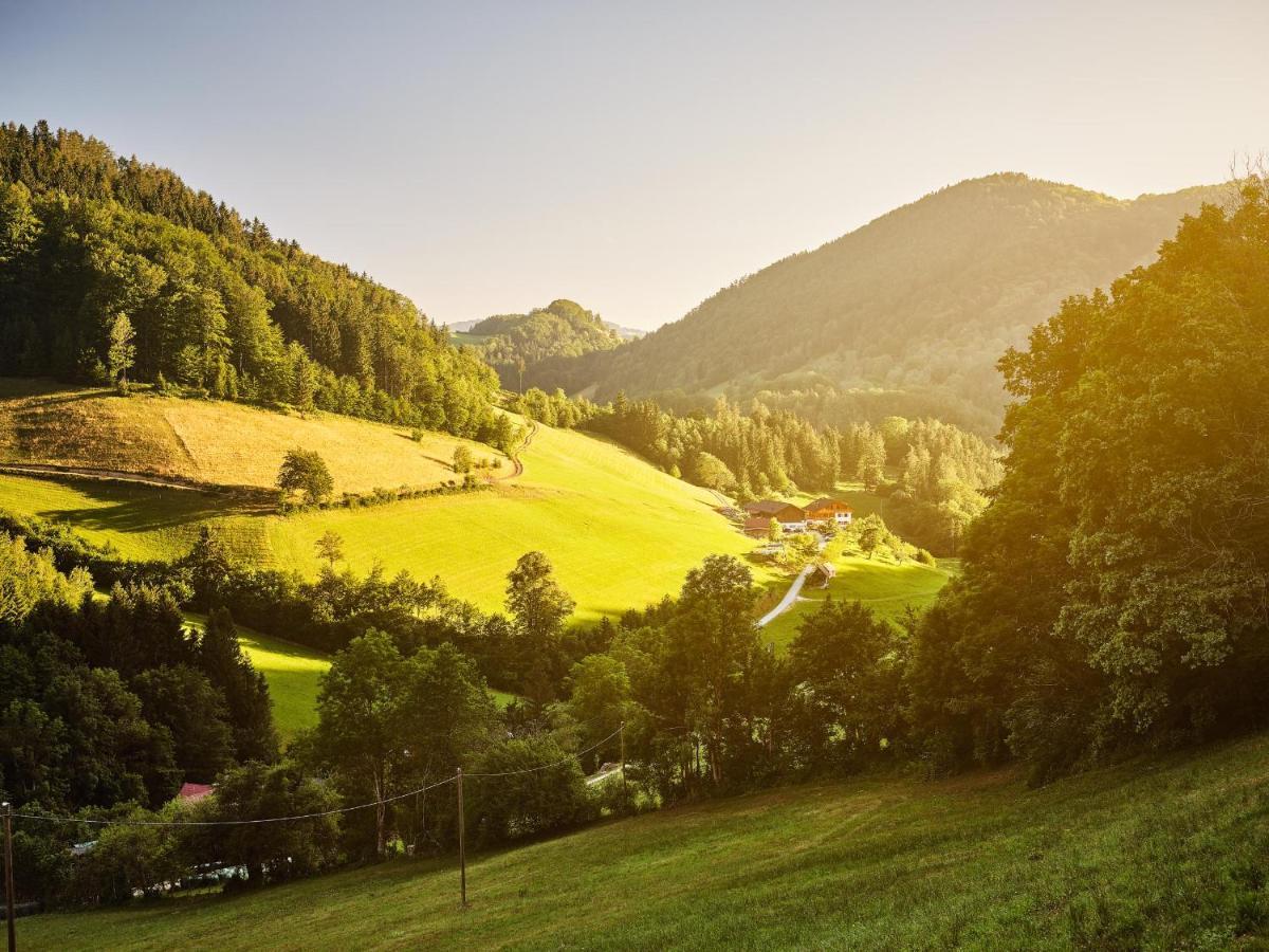 Zwergerlhof Apartment Loich ภายนอก รูปภาพ